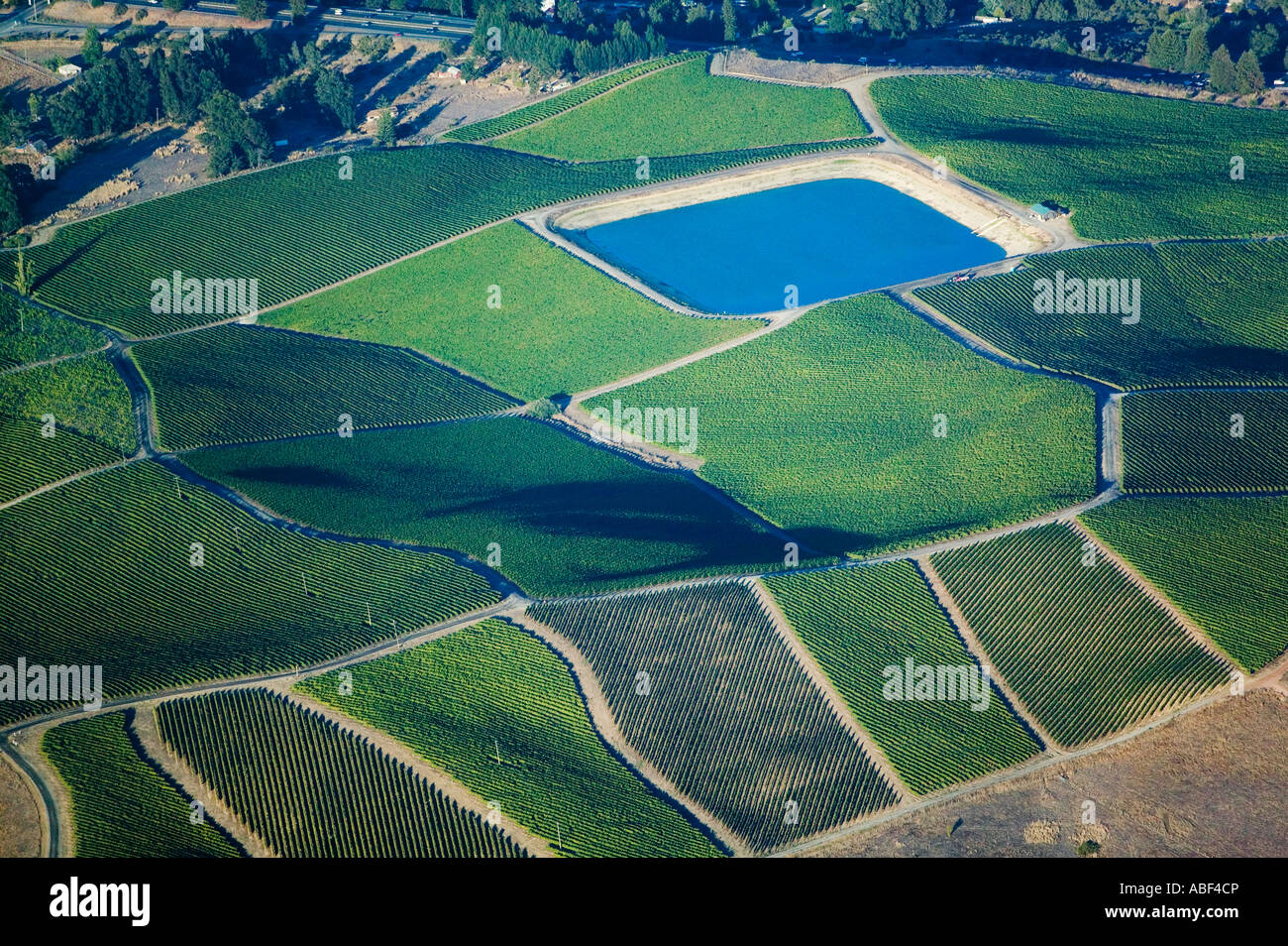 aerial view above vineyard irrigation reservoir in Sonoma County California Stock Photo
