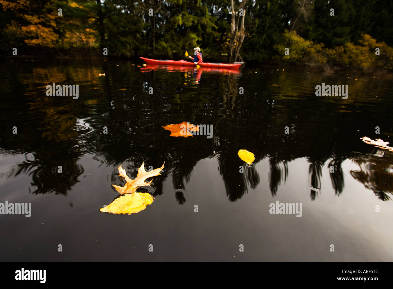 Kayaking the Nashua River in Groton Massachusetts Stock Photo Alamy