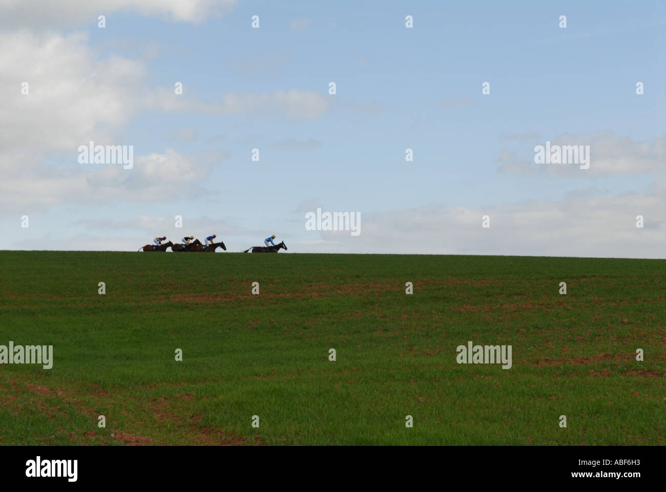 Horses racing along the horizon at the Taunton Vale point to point Stock Photo