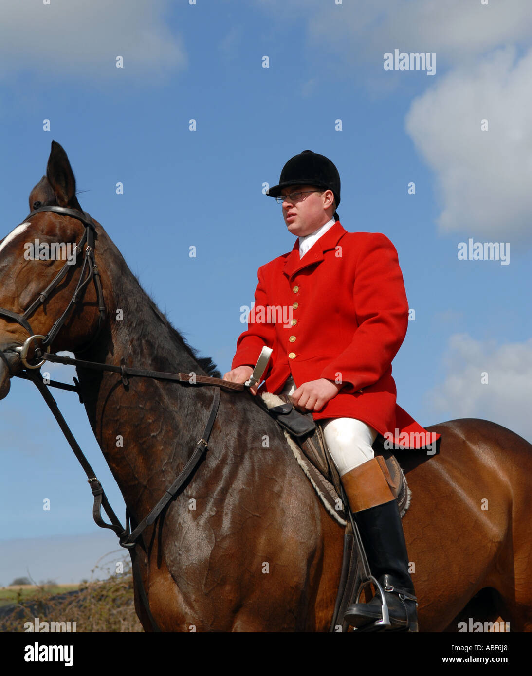 A member of the Taunton Vale national hunt. Stock Photo