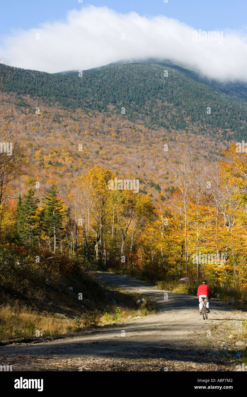 A man mountain biking on a logging road near Grafton Notch State Park in Maine s Northern Forest Old Speck is in the distance Stock Photo