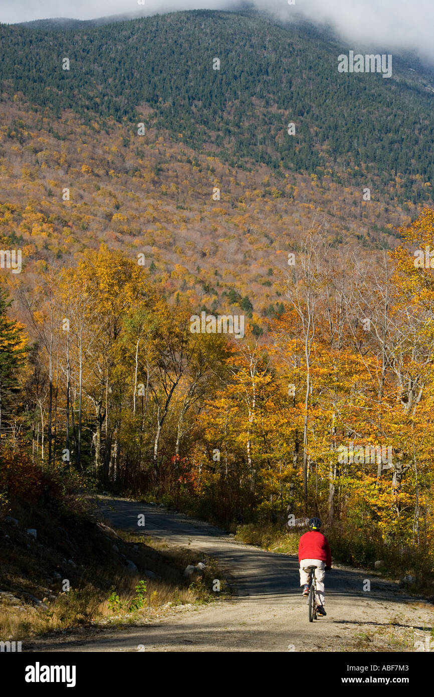 A man mountain biking on a logging road near Grafton Notch State Park in Maine s Northern Forest Old Speck is in the distance Stock Photo