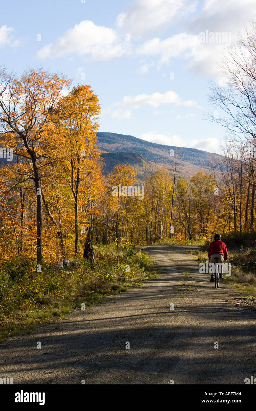A man mountain biking on a logging road near Grafton Notch State Park in Maine s Northern Forest Stock Photo