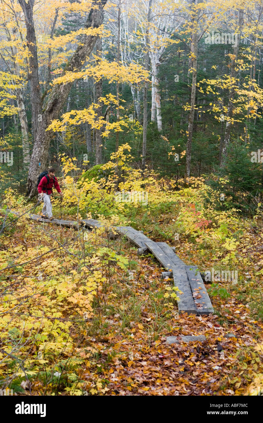 Hiking the Table Rock Trail on Baldpate Mountain in Maine s Grafton