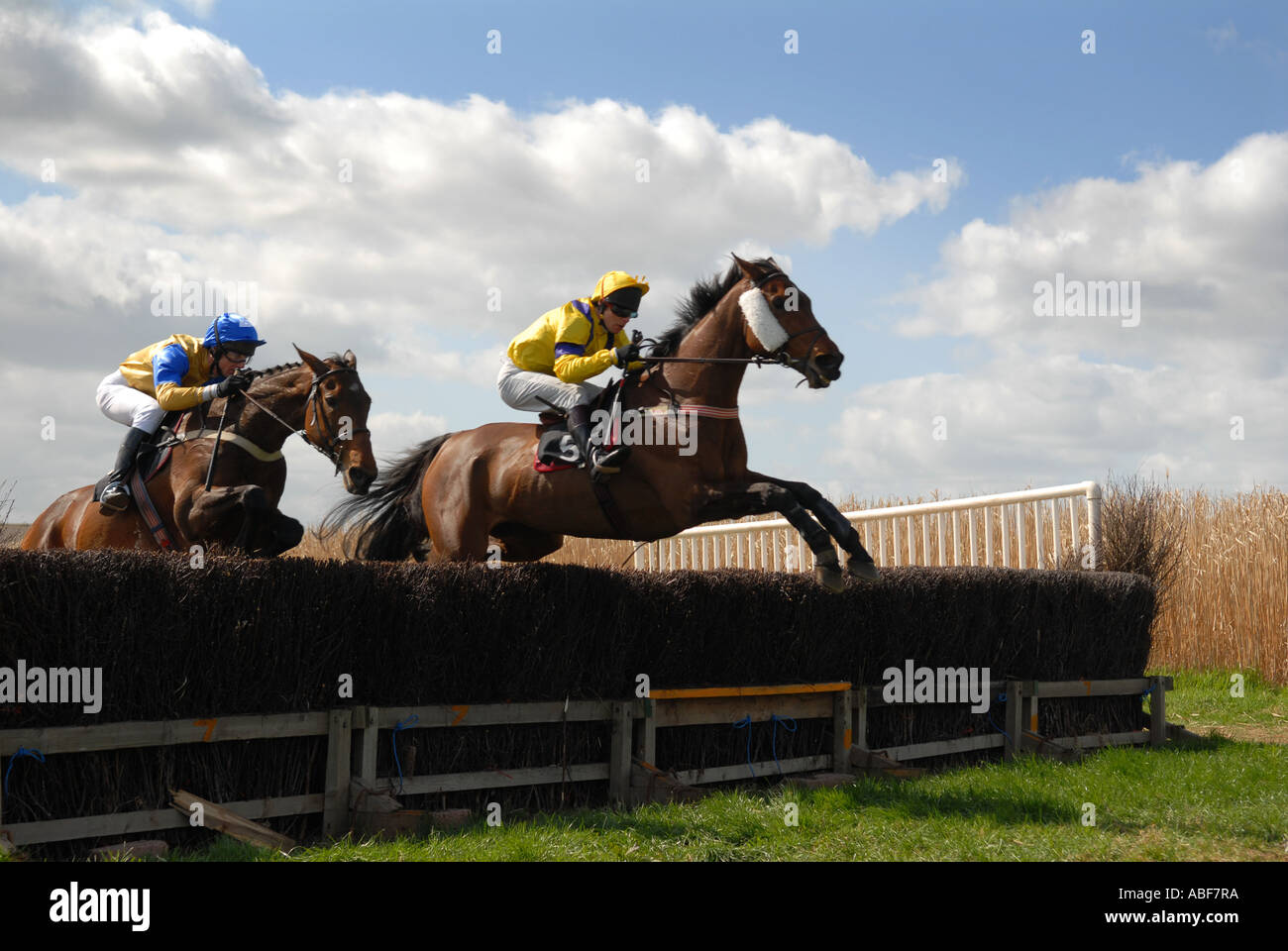 National Hunt racing at the Taunton Vale point to point. Stock Photo