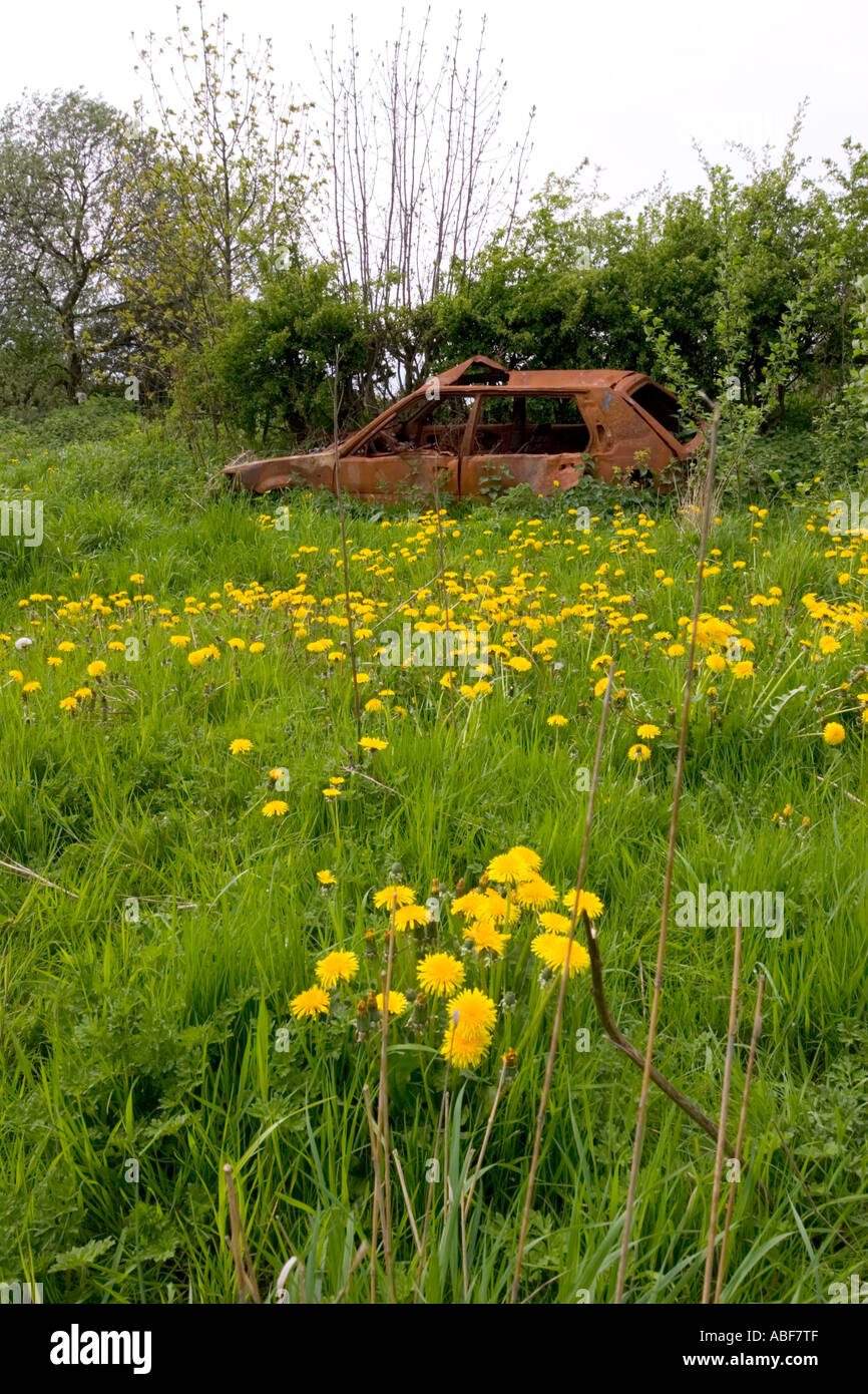 Abandoned overgrown car in a field hi-res stock photography and images ...