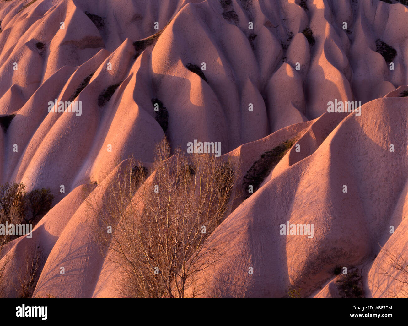 Even sunlight casts a warm over over  the unique natural rock formations near Urchisar, Cappadocia, Turkey Stock Photo