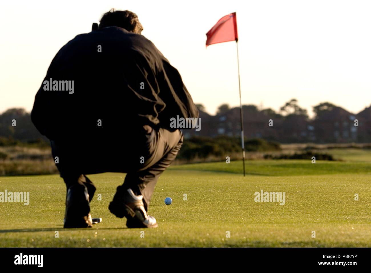 Golfer lining up putt. Stock Photo