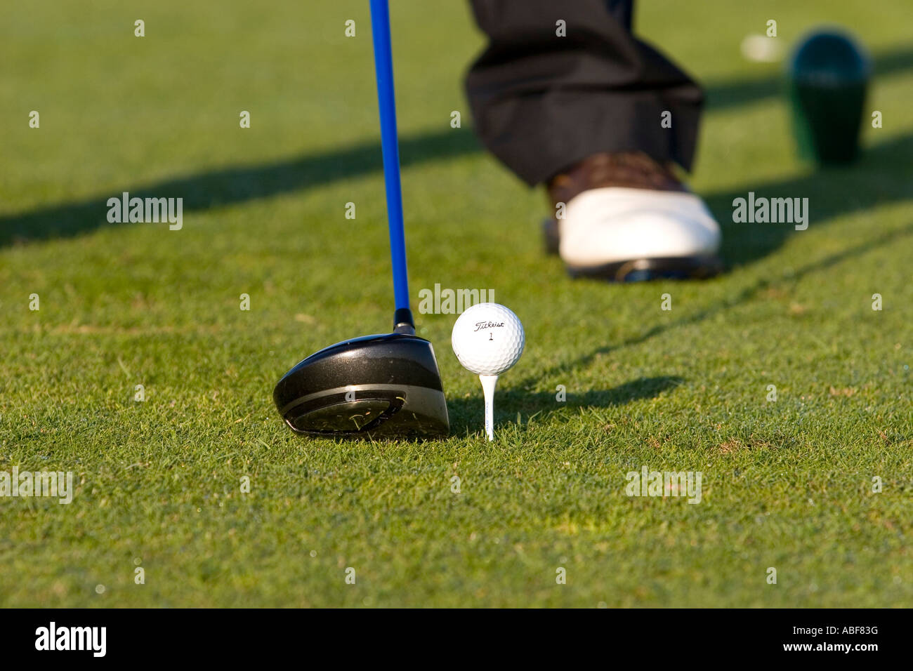 Golf ball on tee Stock Photo Alamy