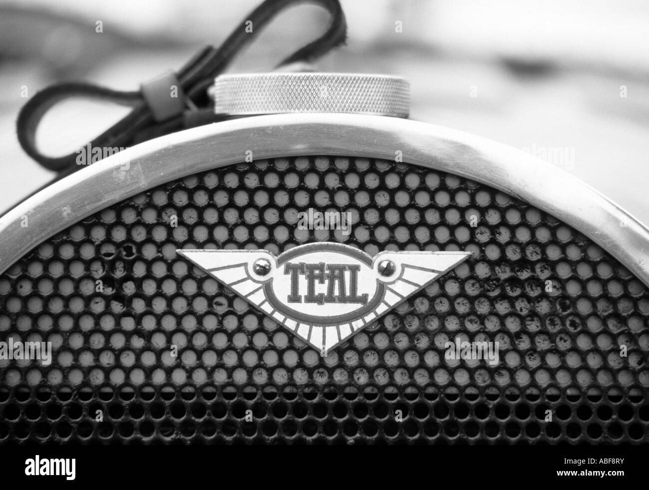 Teal Car Badge English Car Manufacturer Stock Photo Alamy