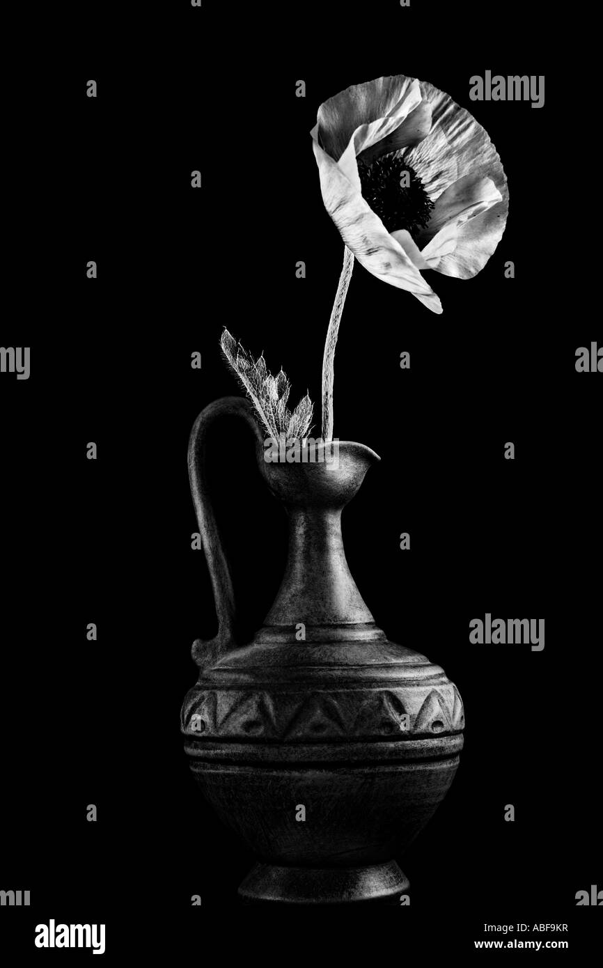 Vertical black and white picture of a single poppy flower in a clay ...