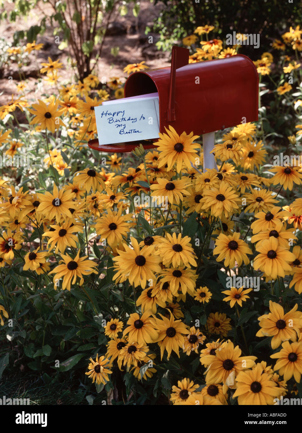 Vertical Red Mailbox Containing Happy Birthday To My Brother Card