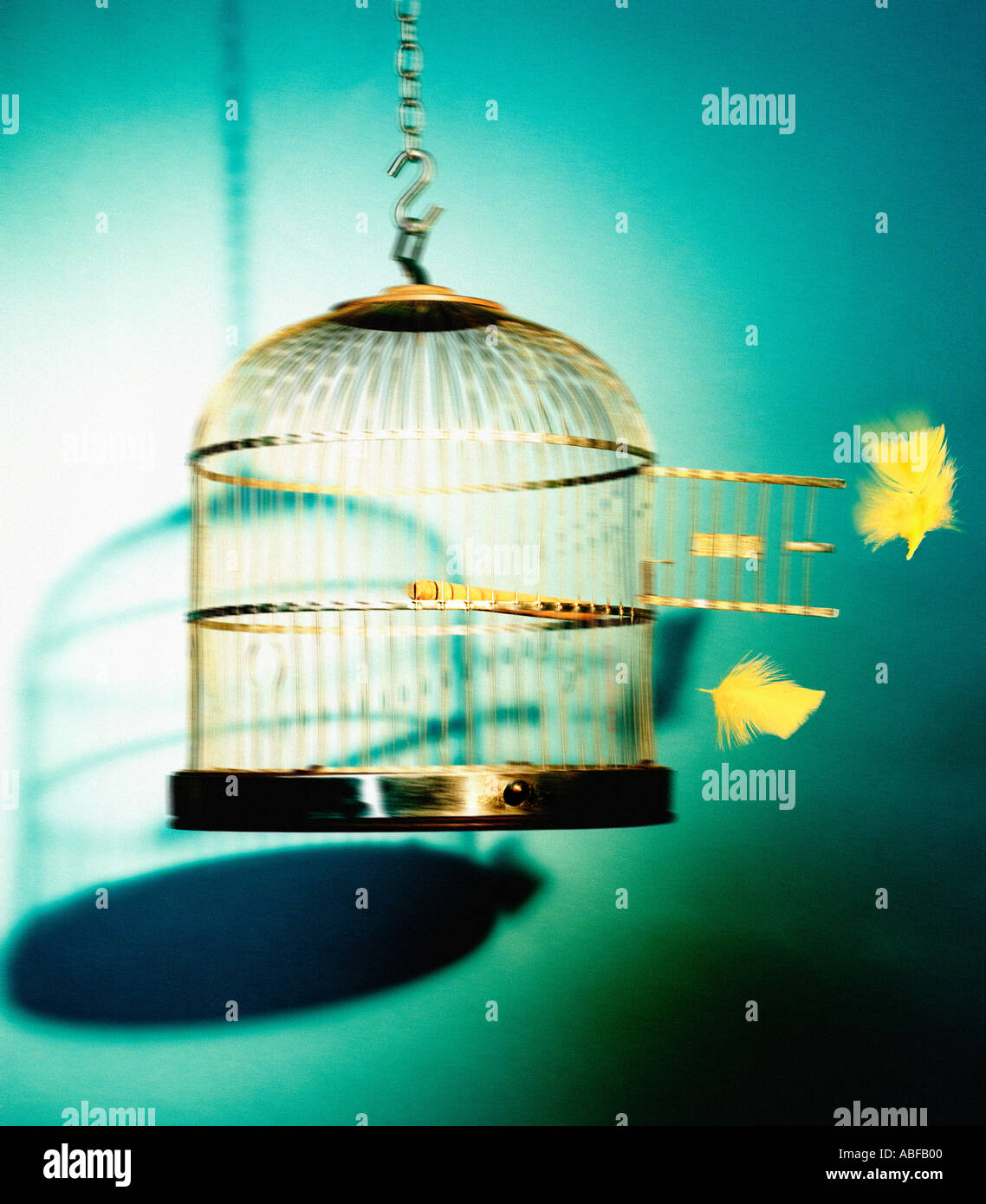 bird cage with door open bird gone Stock Photo Alamy