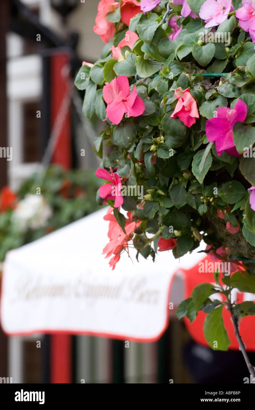hanging baskets in a pubs back garden Stock Photo Alamy