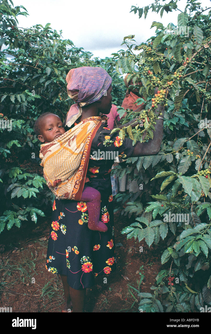 Thika kenya hires stock photography and images Alamy