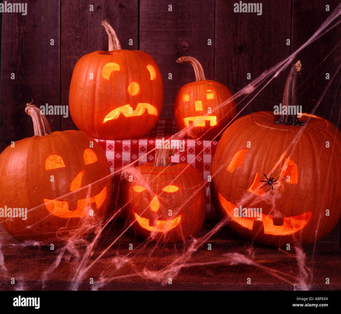 Five scary Halloween Jack O Lanterns draped with a spider and profuse ...