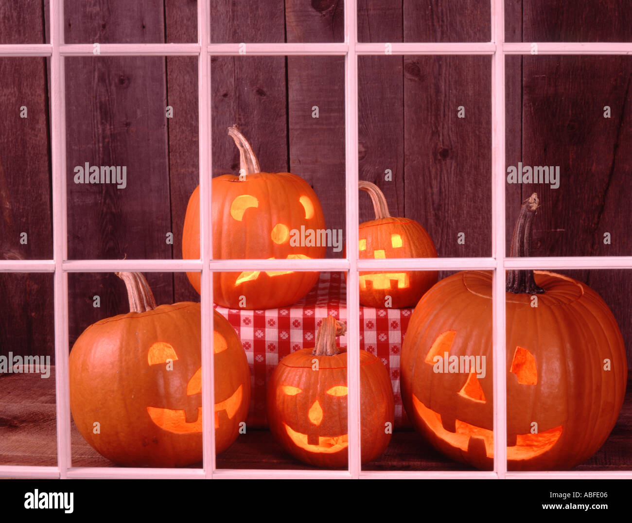 Five Halloween Jack O Lanterns on an old wood background look at the ...