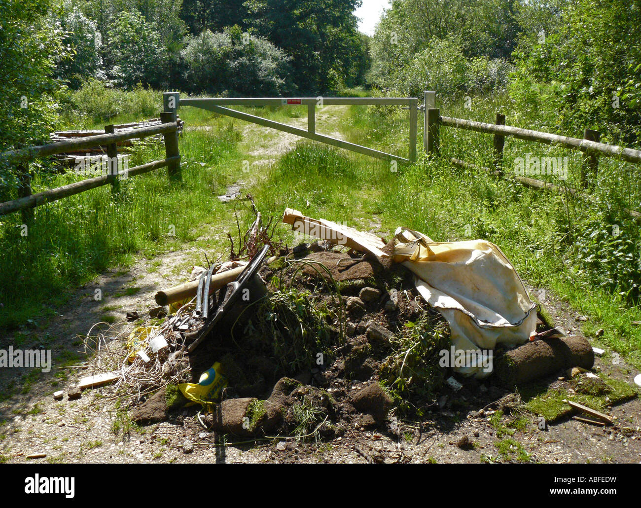 Fly Tipping. Garden waste tipped in woodland car park to Forestry