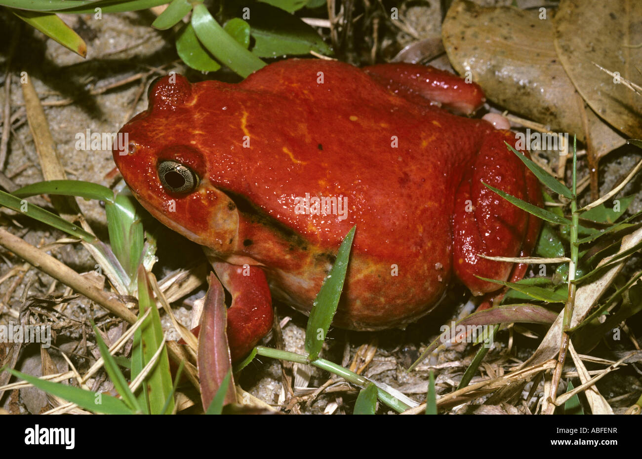 Warningly hi-res stock photography and images - Alamy