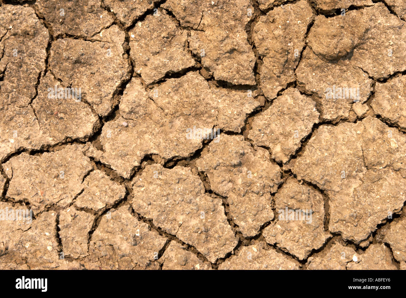 Drought Dry Cracked Scorched Earth Stock Photo 7359029 Alamy - 