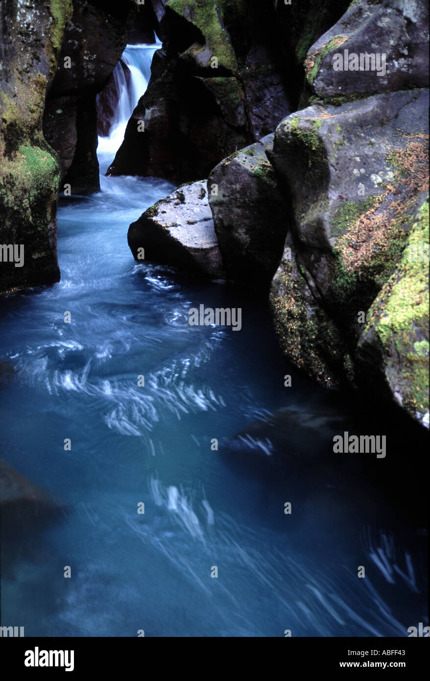 avalanche-creek-glacier-national-park-montana-stock-photo-alamy