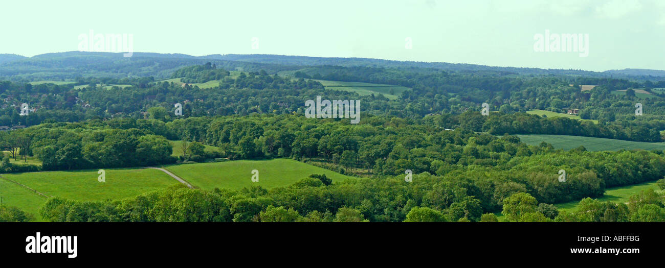 North Downs Way. From Ranmore Common NT looking to South Downs Surrey England Jnue Stock Photo