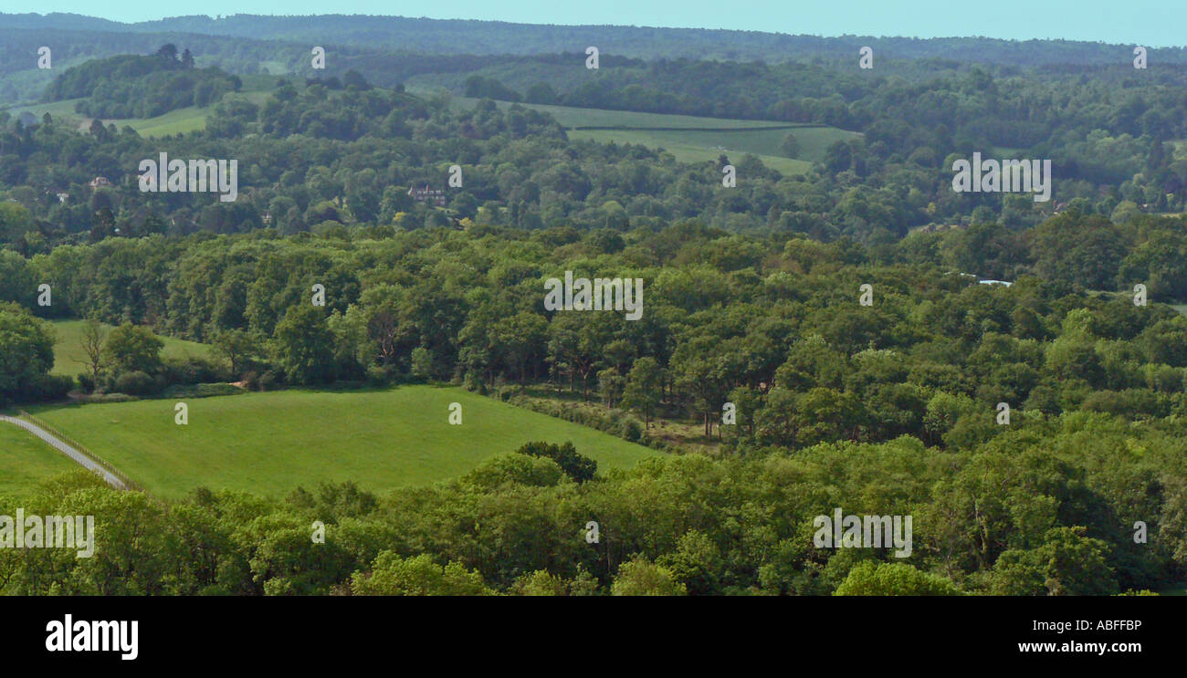 North Downs way at Ranmore. From Ranmore Common looking to South Downs Surrey England Jnue Stock Photo