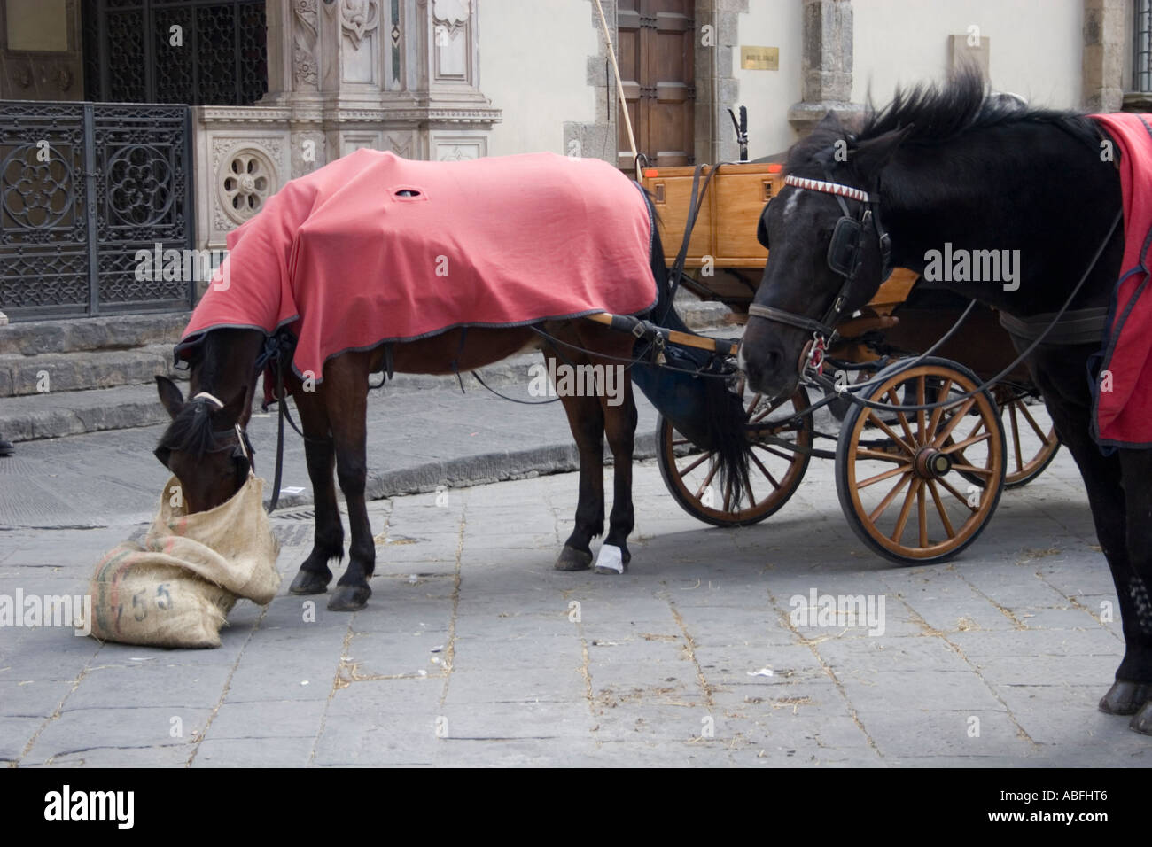 Horse drawn carriage florence hi-res stock photography and images - Alamy