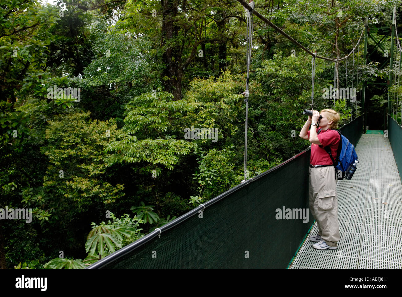 Ecotourist observing wildlife on a canopy walkway in cloud forest Monteverde Costa Rica Stock Photo