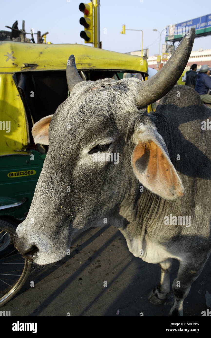 India street culture hi-res stock photography and images - Alamy