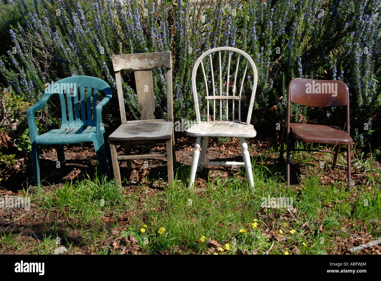 Four distinctly different old chairs stand in a community garden. Stock Photo