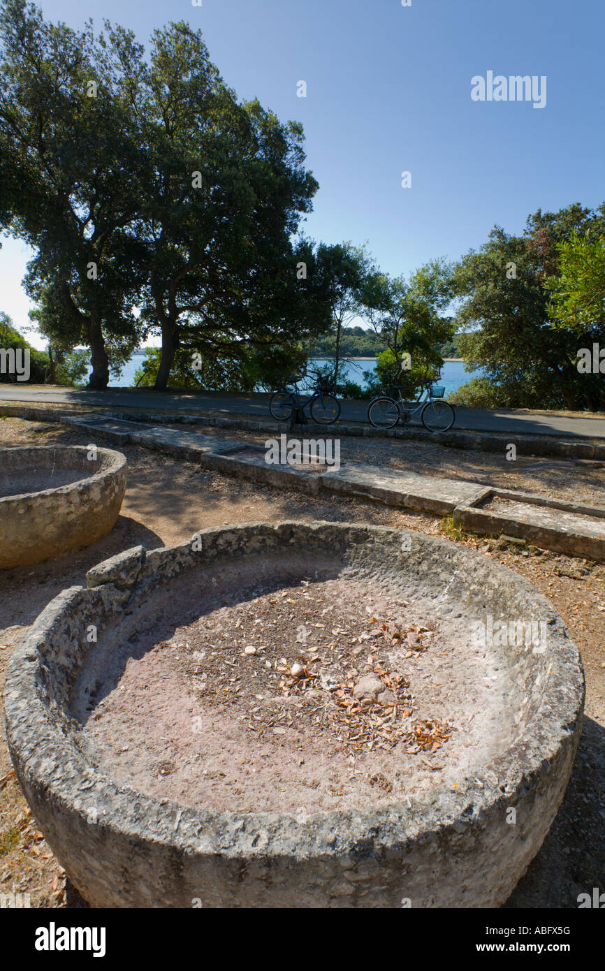 Roman glue factory ruins on Verige site on Brioni islands, Veliki Brijun, Croatia Stock Photo