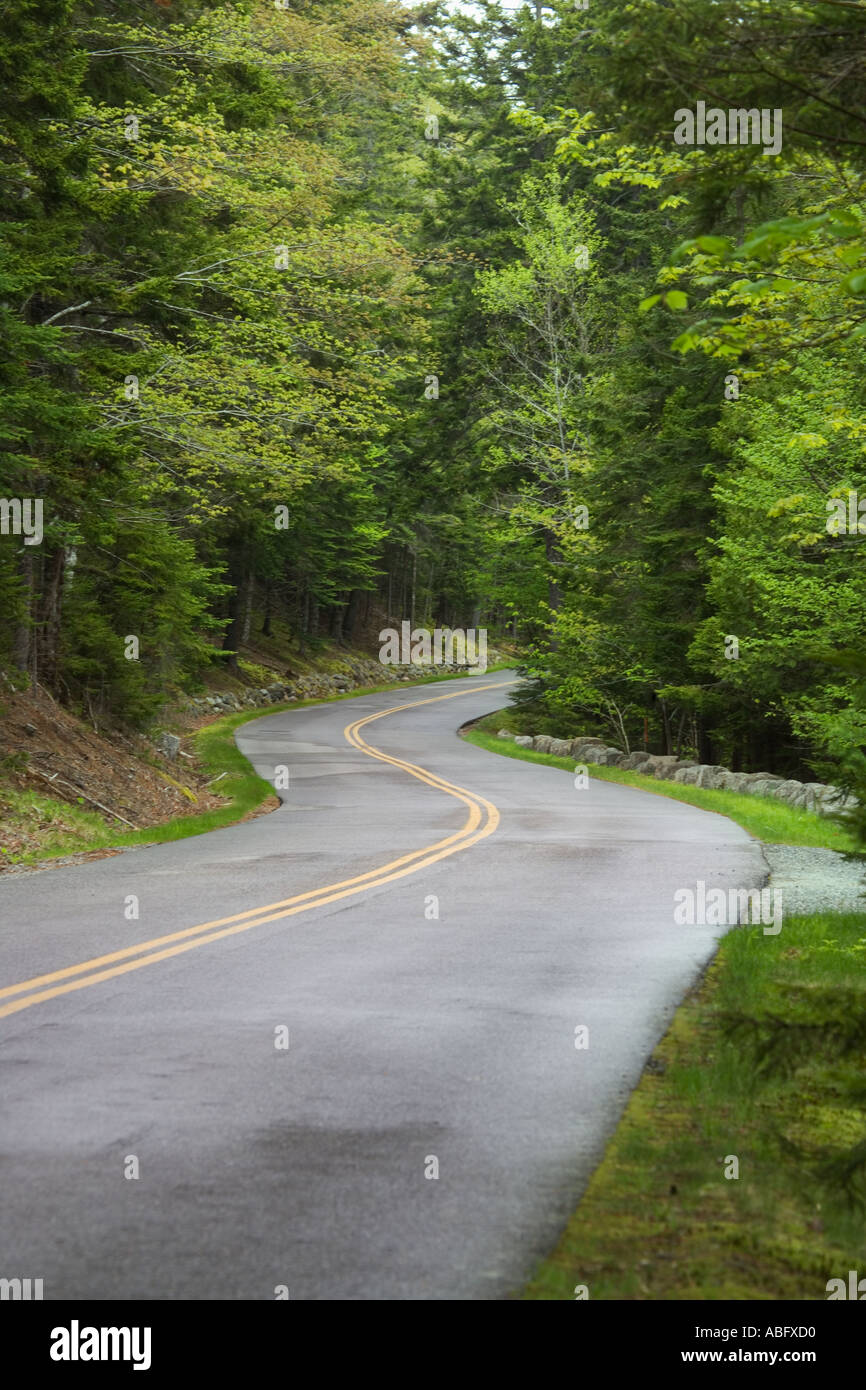 Country road in Maine Stock Photo Alamy