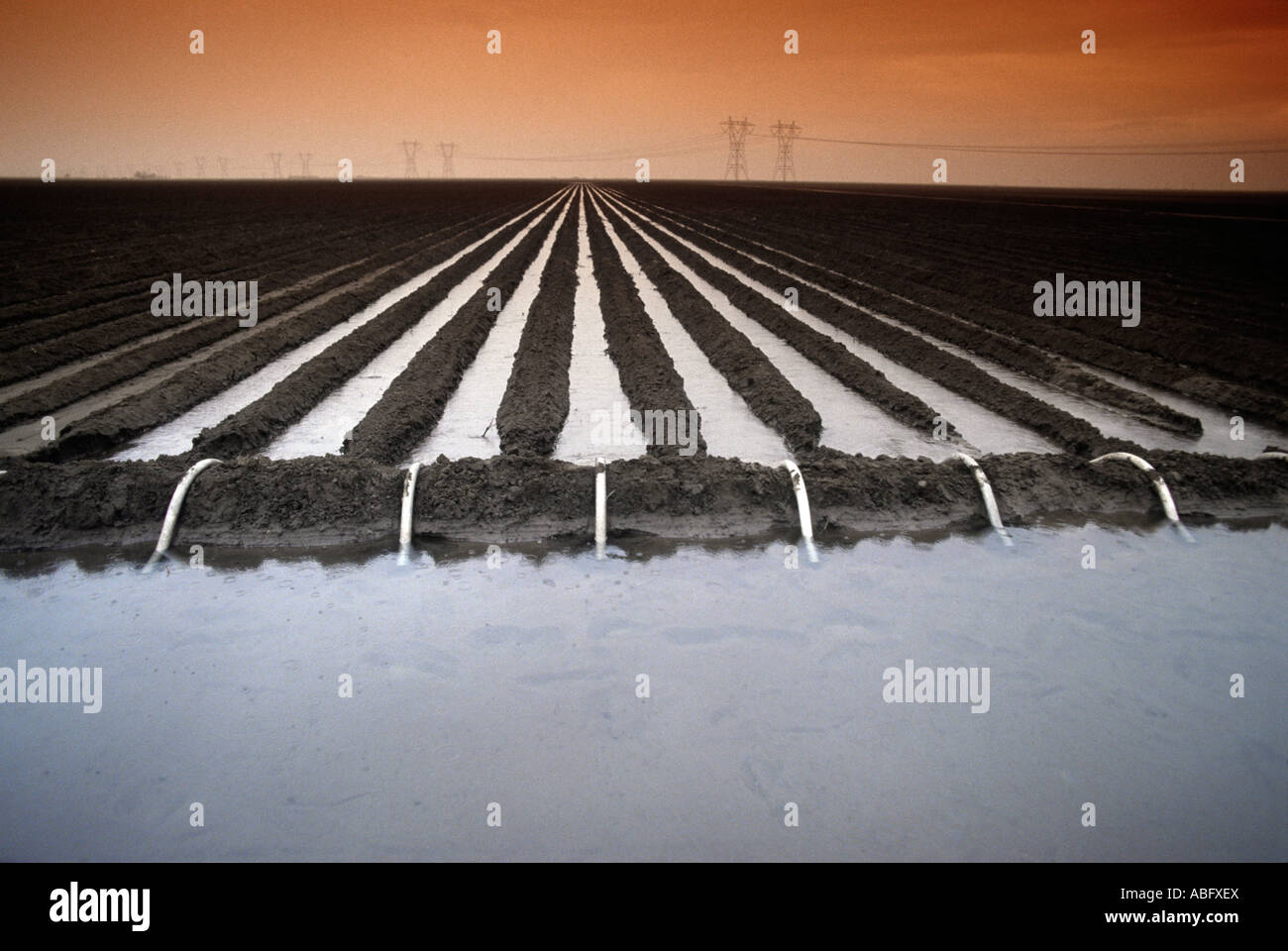 Water irrigation in California Central Valley Stock Photo Alamy