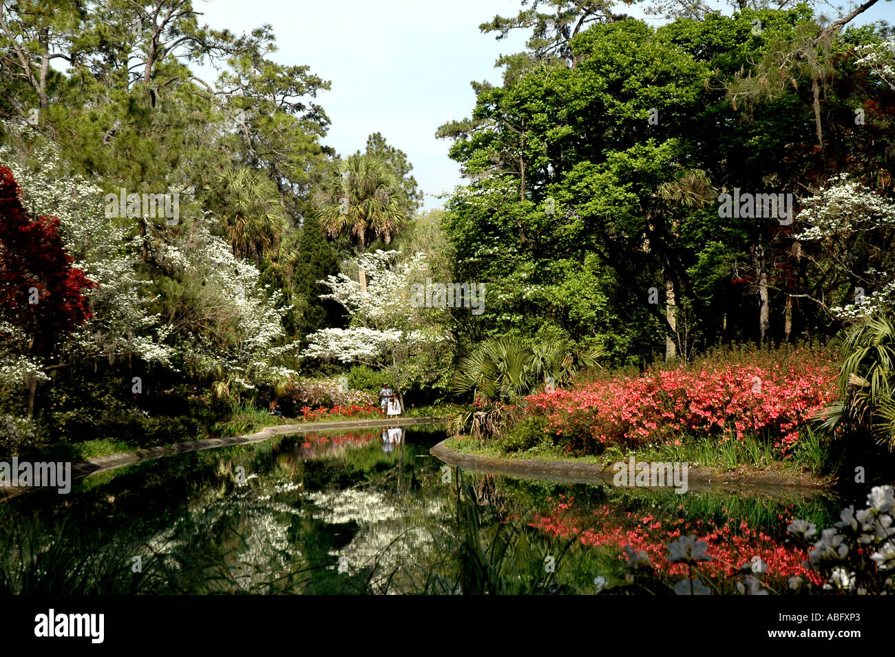 Dogwood pond hi-res stock photography and images - Alamy
