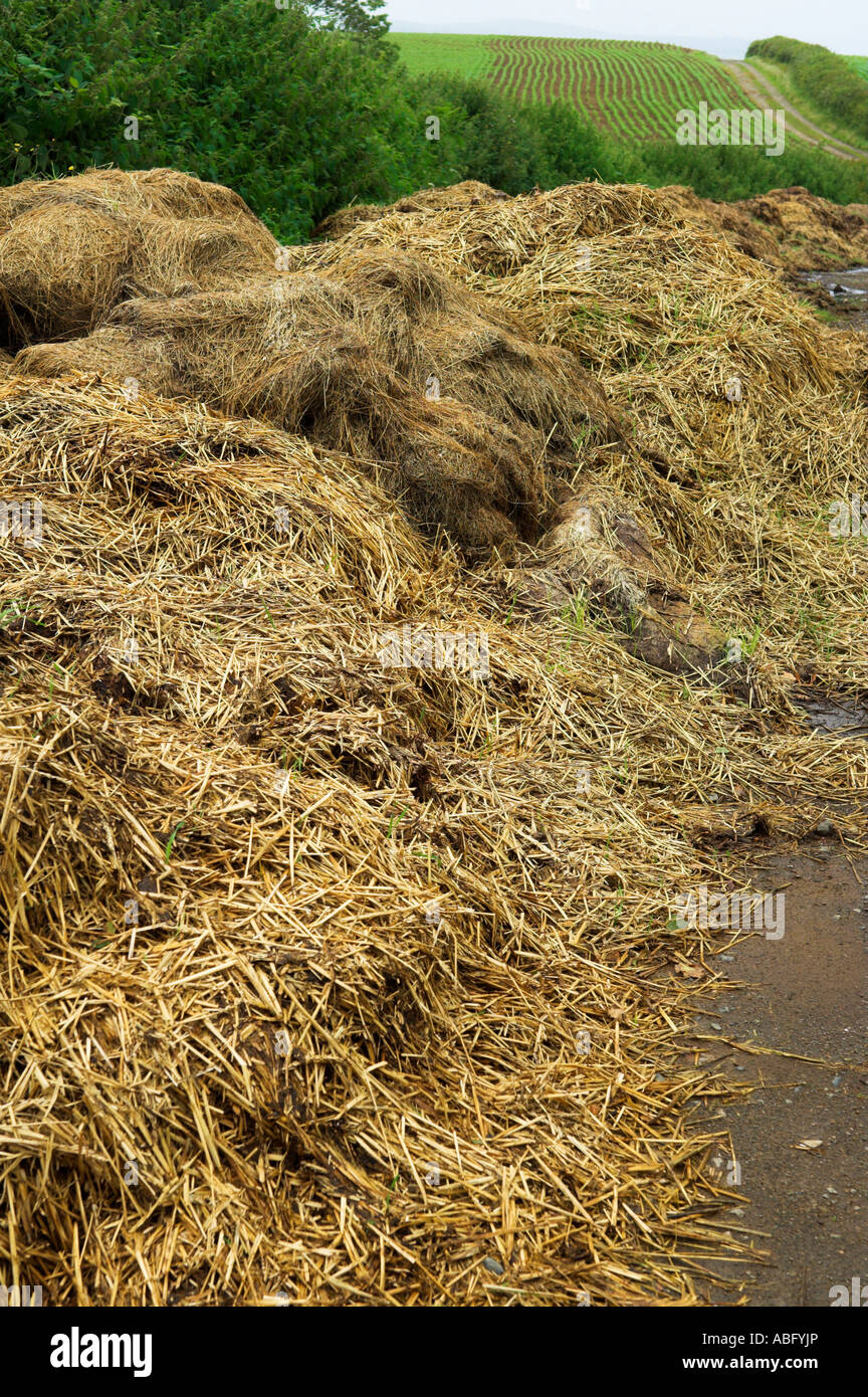 Pile horse manure composting with crop fields Stock Photo Alamy