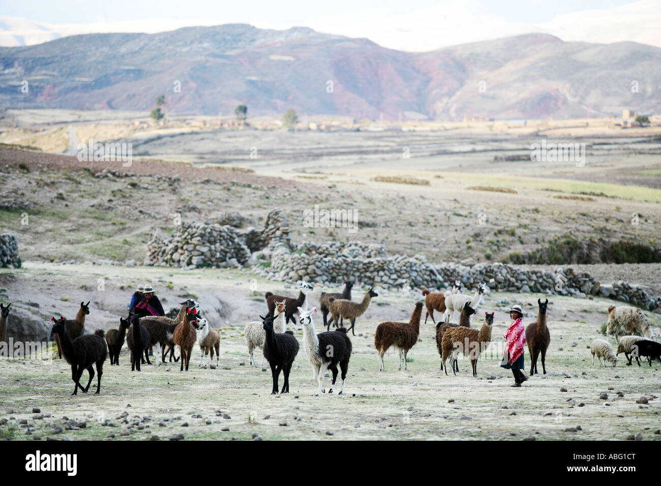 The annual intervillage fist fighting festival known as Tinku in Macha Bolivia. Stock Photo