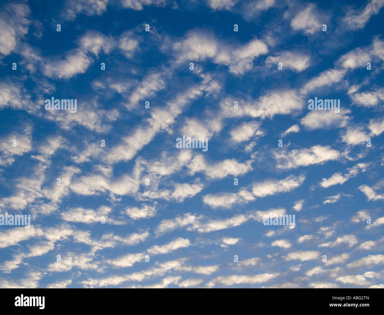 Altocumulus clouds weather sky puffy white cloudy Stock Photo - Alamy