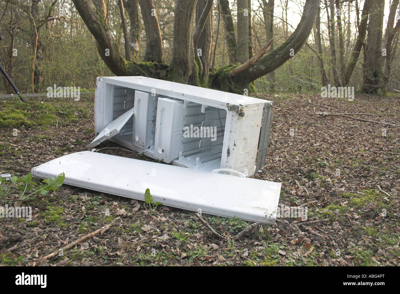 Old freezer fly tipped in an old woodland in the heart of Kent Stock Photo