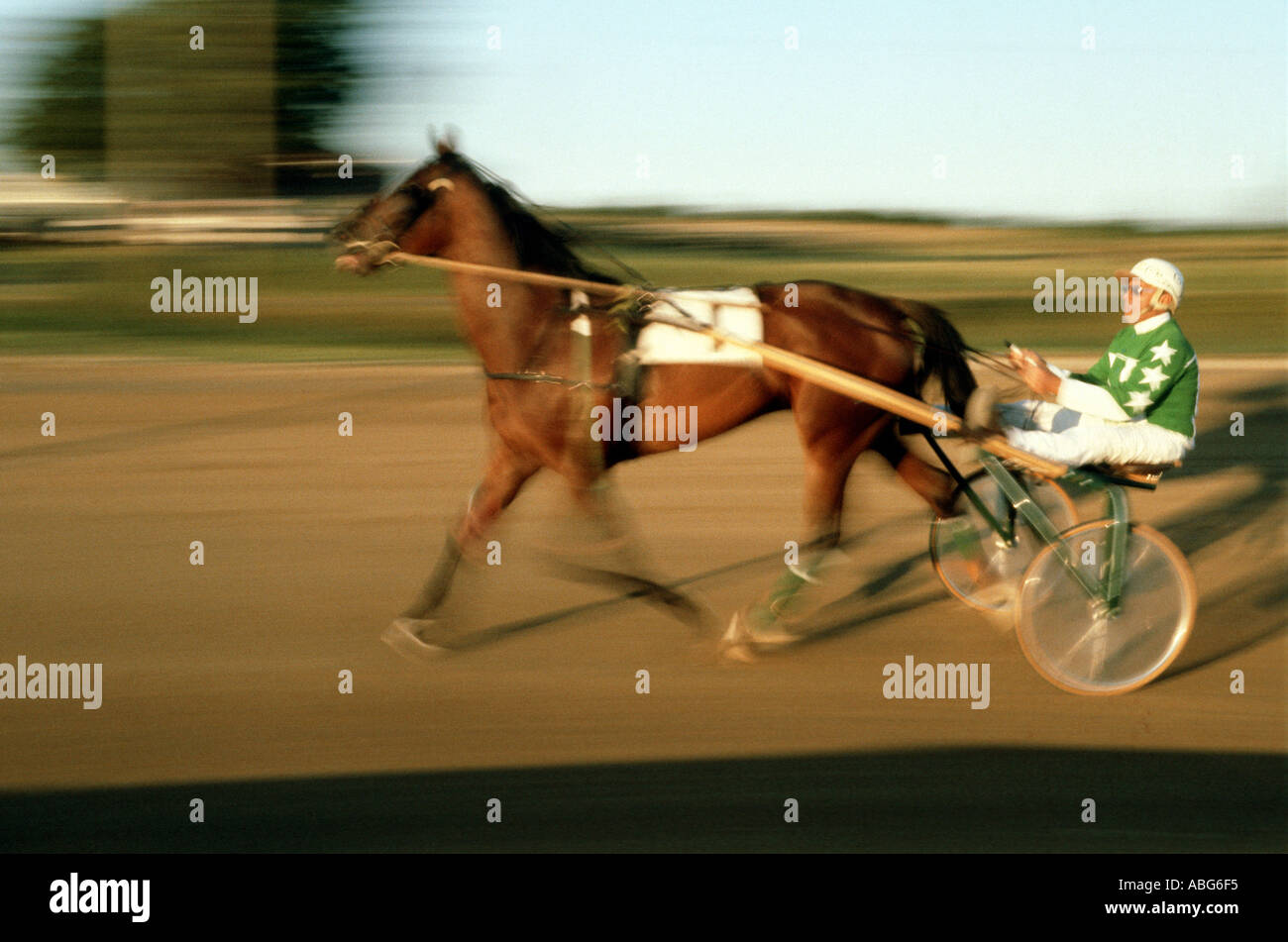 Trotters portrait hi-res stock photography and images - Alamy