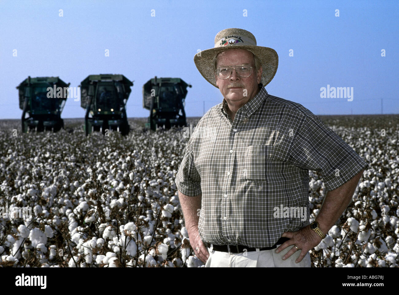 Man in cotton field hi-res stock photography and images - Alamy