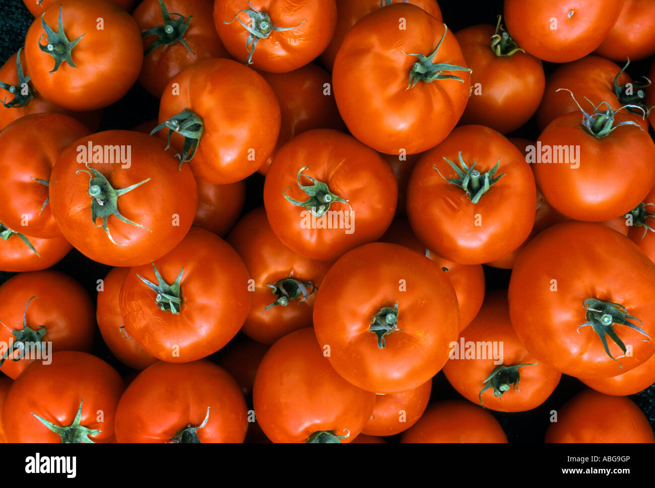Bushel of tomatoes hi-res stock photography and images - Alamy