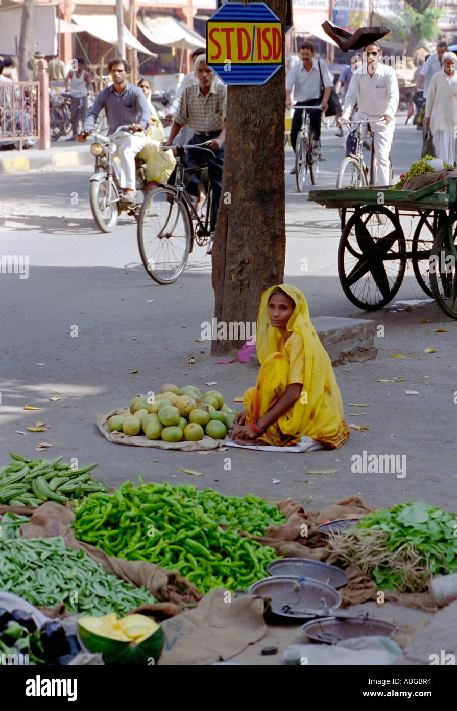 Woman sitting in village square selling vegetables in India with sign ...
