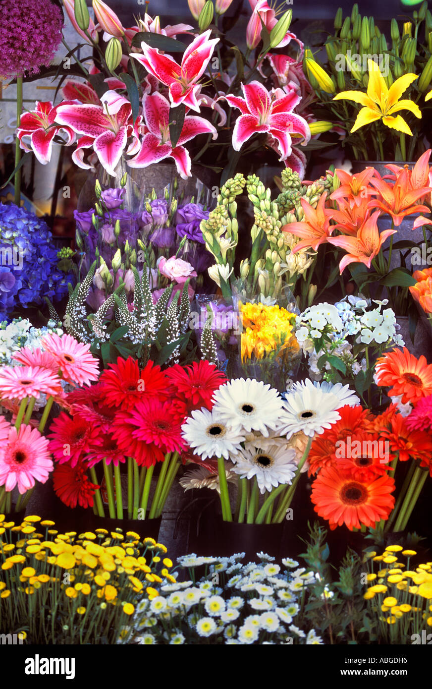 Large group of assorted cut flowers in front of flower shop San Francisco  California USA Stock Photo