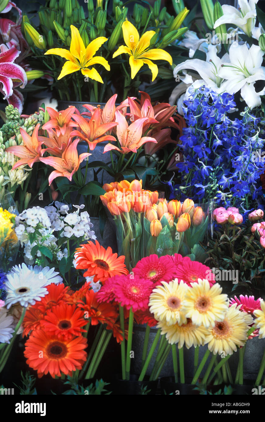 Large group of assorted cut flowers in front of flower shop San Francisco California USA Stock Photo