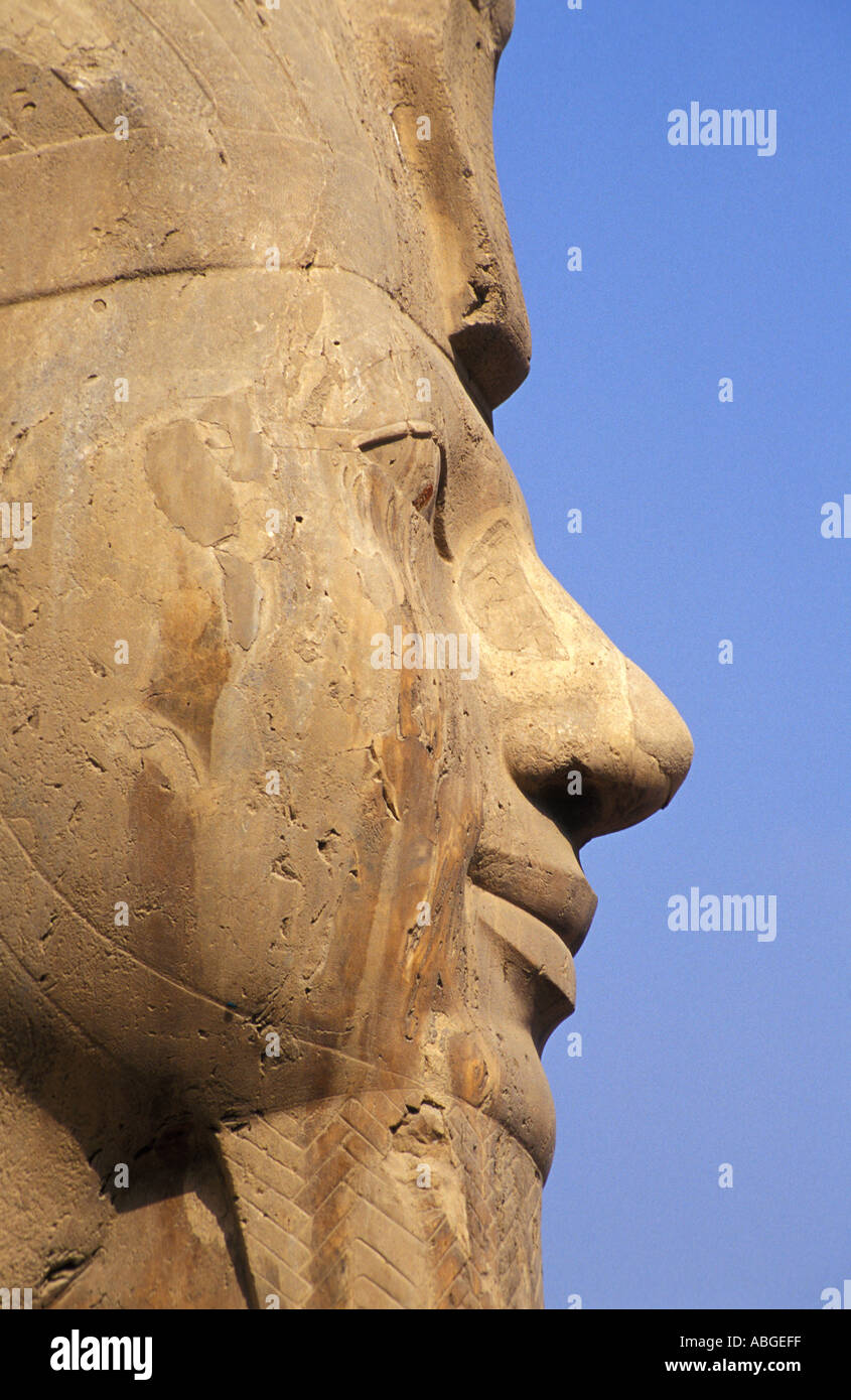 Statue of Pharaoh Ramses II in Memphis, Egypt Stock Photo Alamy