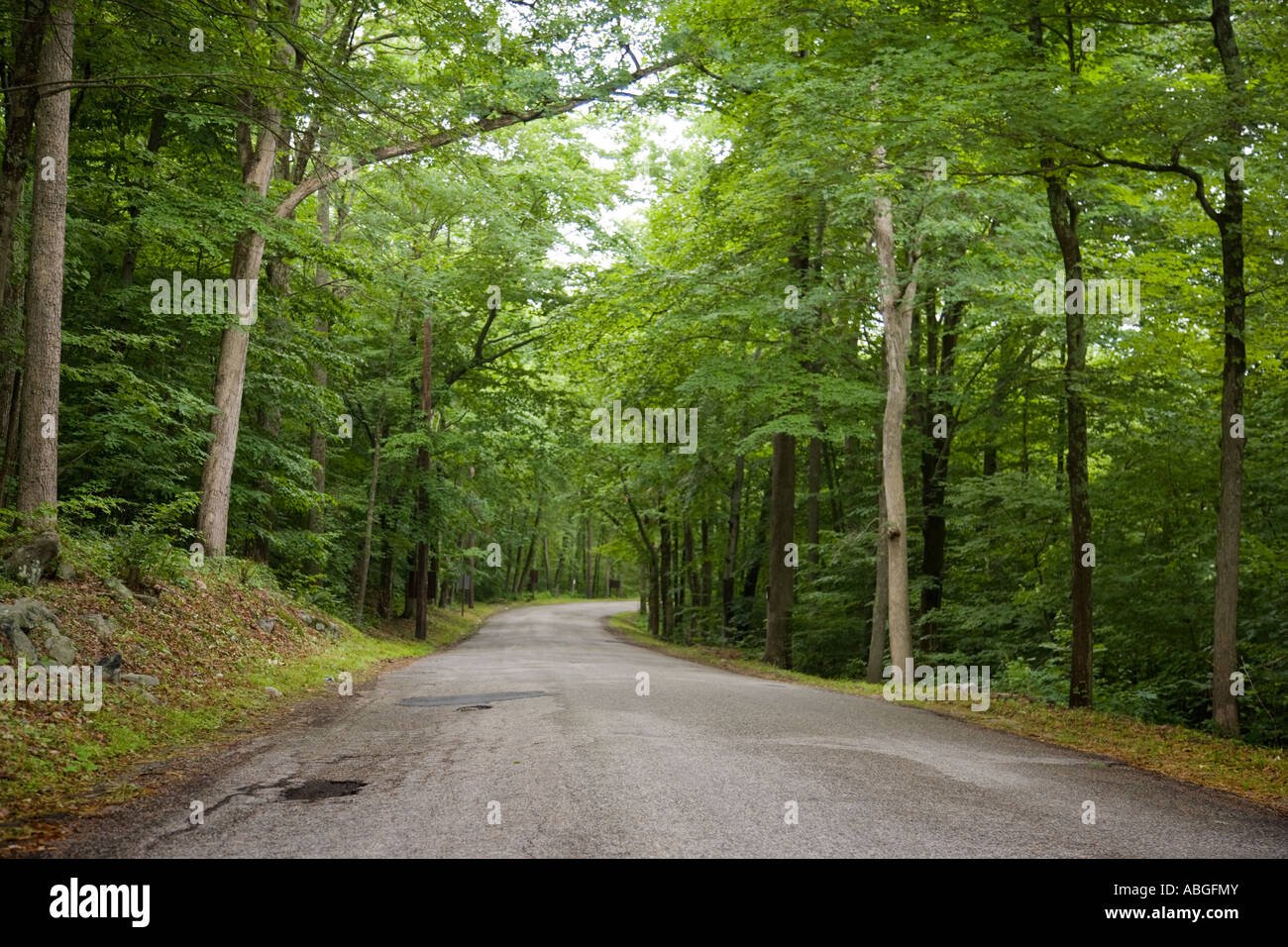 Country road rural hi-res stock photography and images - Alamy