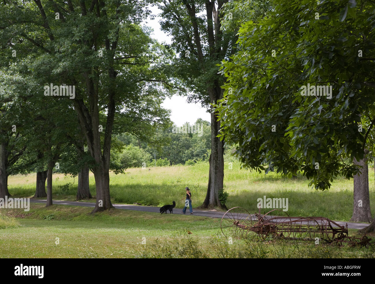 Woman walking on the road hi-res stock photography and images - Alamy