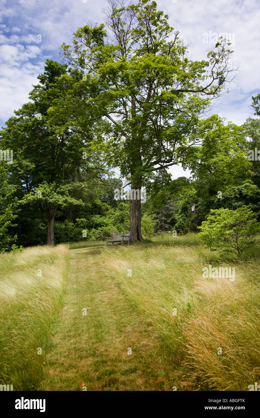 Path leading to a bench Stock Photo