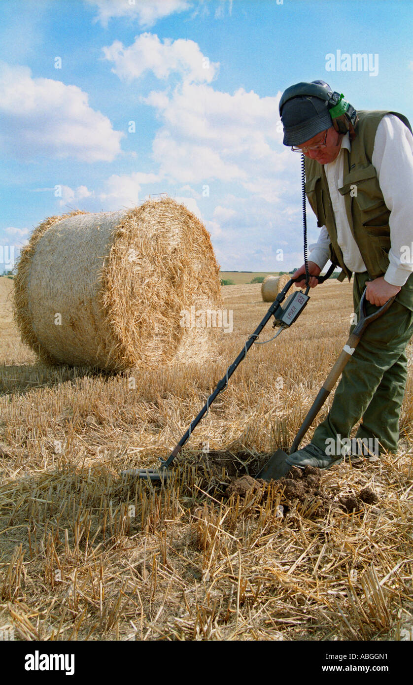 Metal detecting in a stubble field. Stock Photo